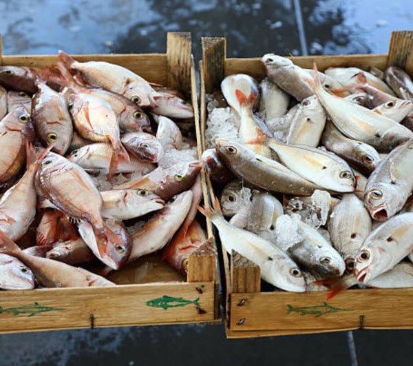 Caixotes de madeira com peixes frescos sobre gelo num mercado de pescado