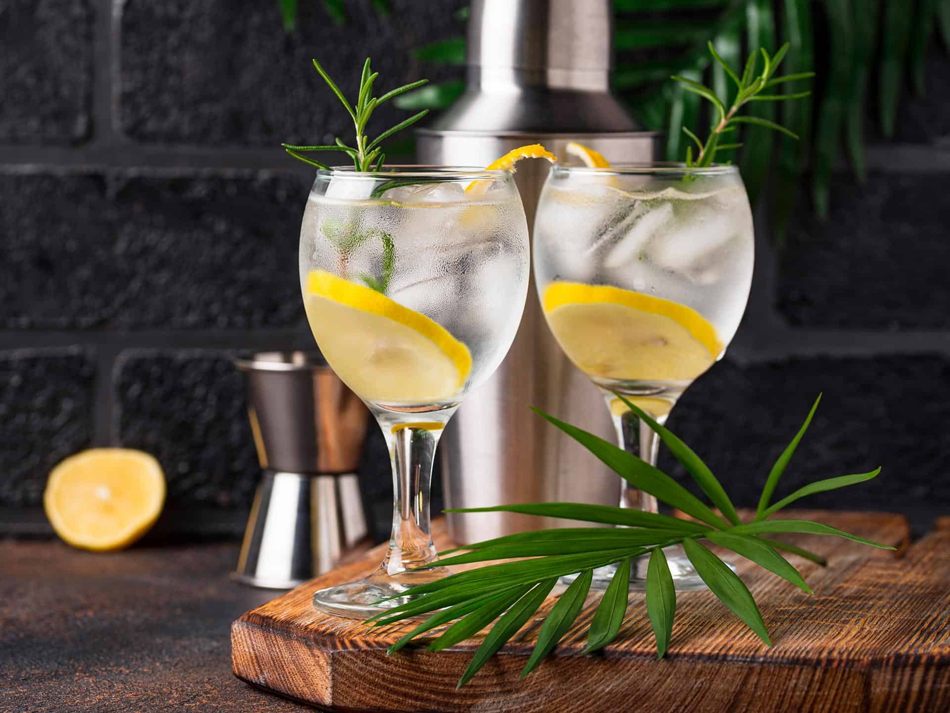 gin-tonica-cocktail-drink-gin-tonic