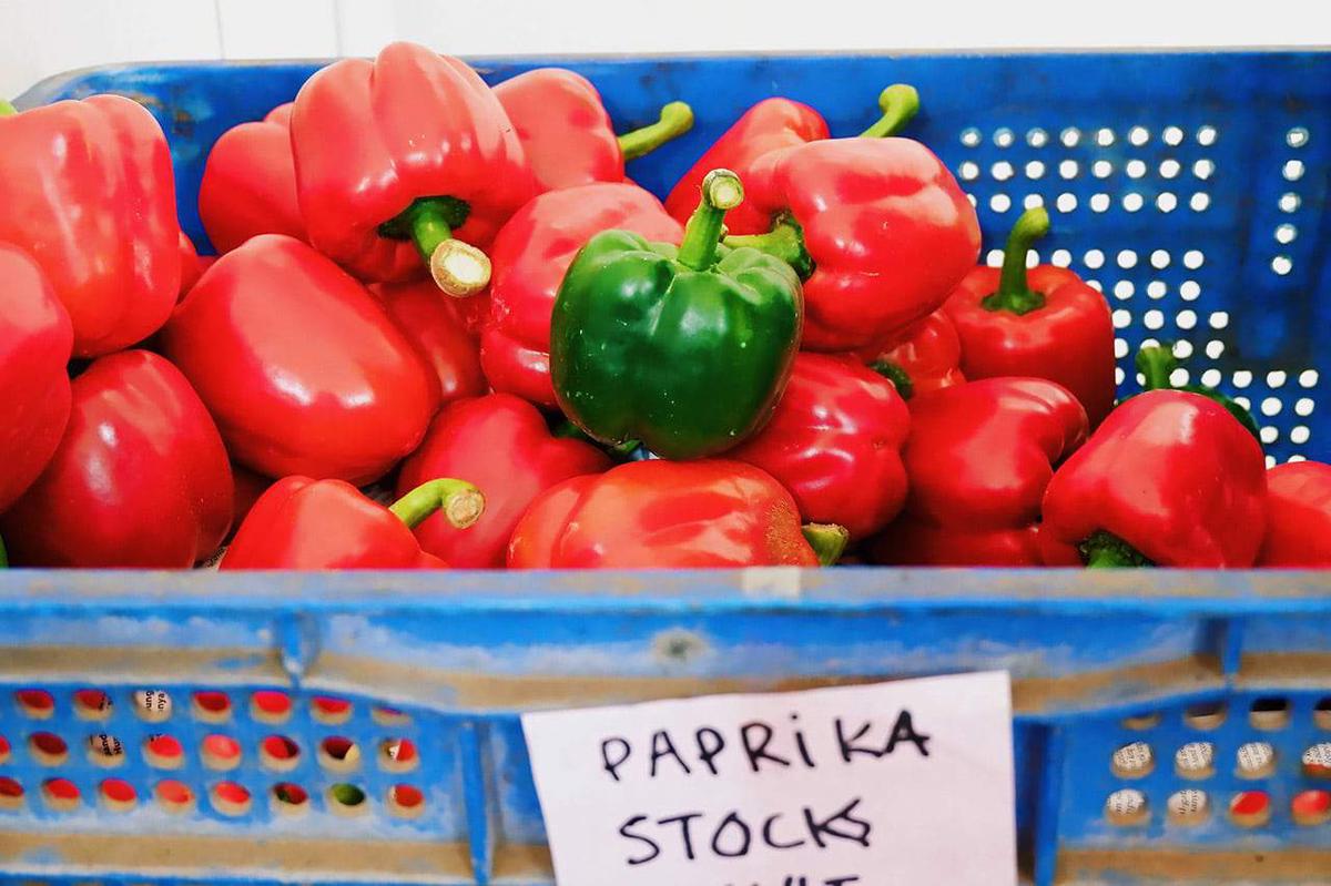 O que é Páprica? o-que-e-paprica-pimentao