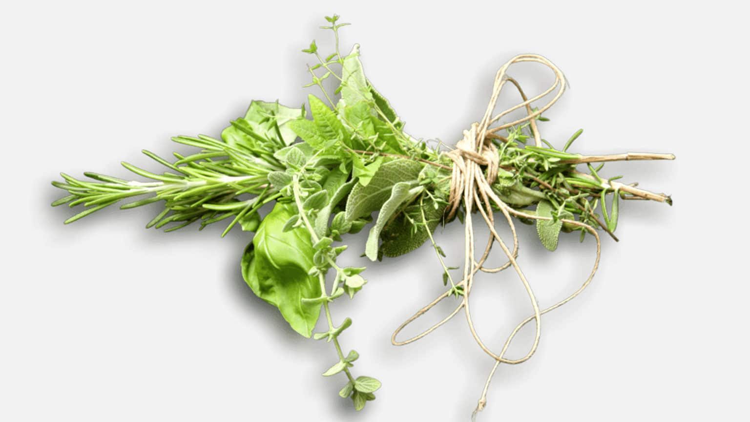 Bouquet garni de alecrim, tomilho, sálvia e outras ervas frescas amarrado com barbante