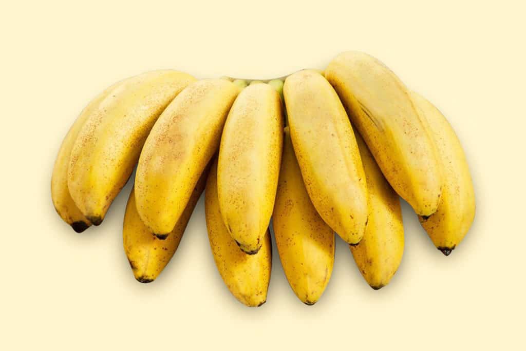 banana-ouro-tipos-de-banana