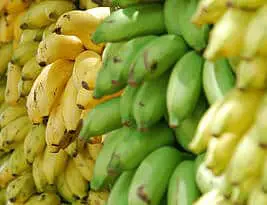 5 Tipos de Banana: Como Escolher Certo?
