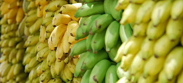tipos-de-banana-2-880